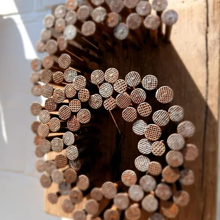 Ferienhaus La Maison D'alfred- Cosy Avec Cour Burdinne